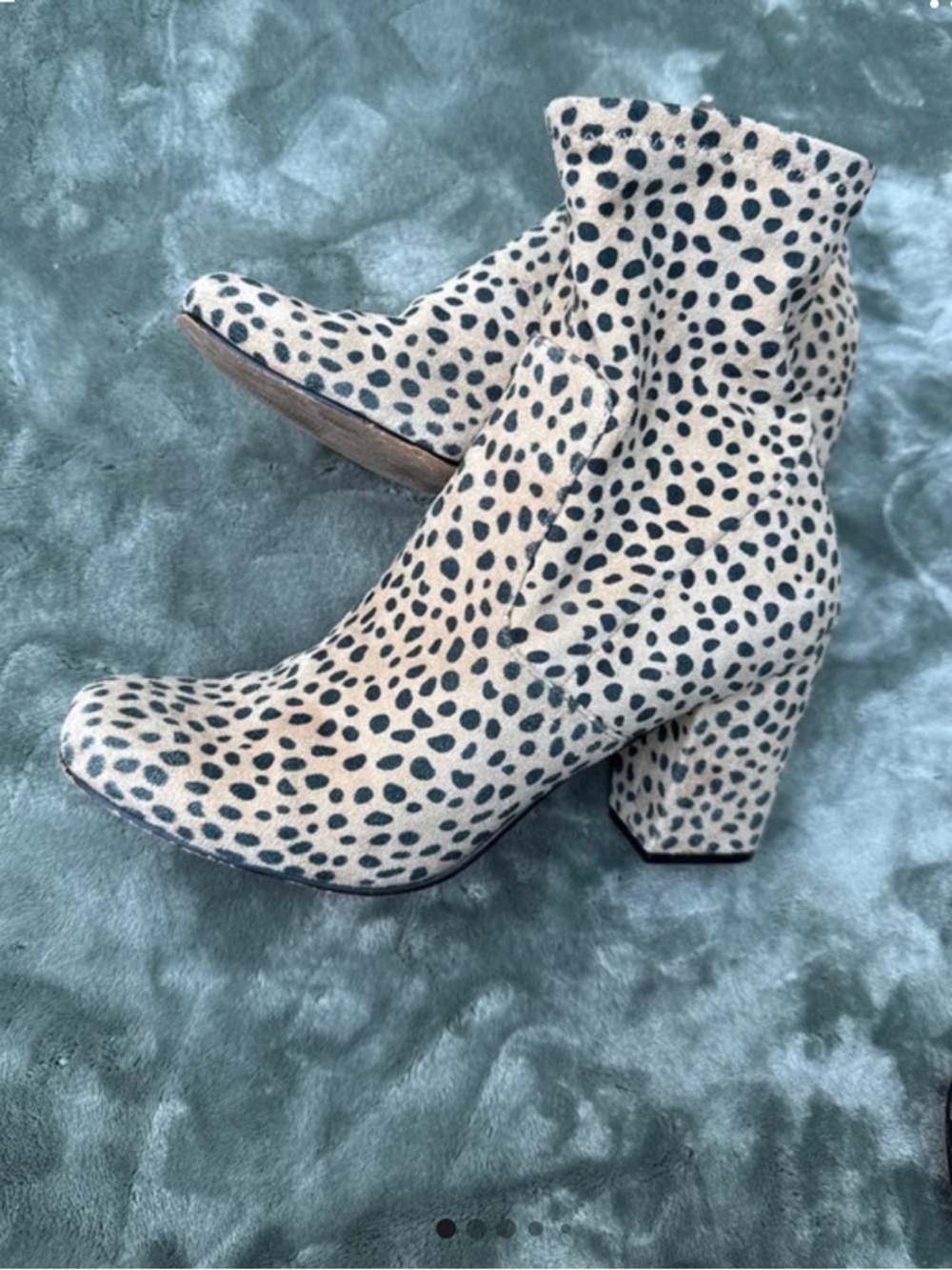 Steve Madden Cheetah Spot Ankle Boots in Cream & Black